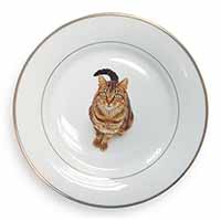 Brown Tabby Cat Gold Rim Plate Printed Full Colour in Gift Box