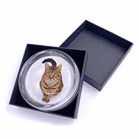 Brown Tabby Cat Glass Paperweight in Gift Box