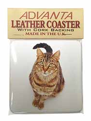 Brown Tabby Cat Single Leather Photo Coaster