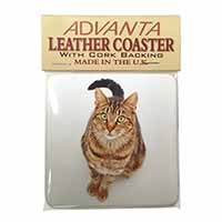 Brown Tabby Cat Single Leather Photo Coaster, Printed Full Colour  - Advanta Gro
