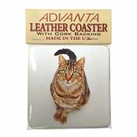 Brown Tabby Cat Single Leather Photo Coaster