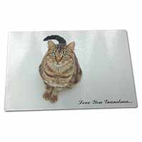 Large Glass Cutting Chopping Board Brown Tabby Cat 