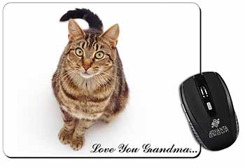 Brown Tabby Cat 