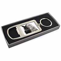 Cute Kitten with Rabbit Chrome Metal Bottle Opener Keyring in Box