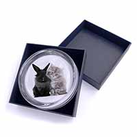 Cute Kitten with Rabbit Glass Paperweight in Gift Box