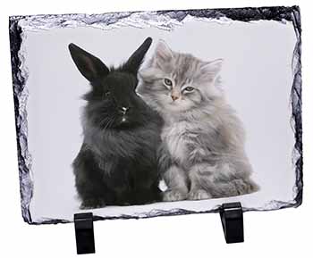 Cute Kitten with Rabbit, Stunning Photo Slate