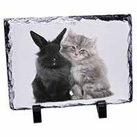 Cute Kitten with Rabbit, Stunning Photo Slate