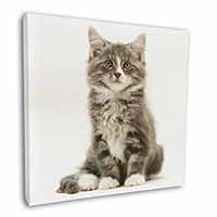 Tabby Cats Square Canvas 12"x12" Wall Art Picture Print