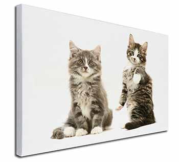 Tabby Cats Canvas X-Large 30"x20" Wall Art Print