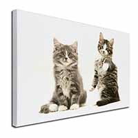 Tabby Cats Canvas X-Large 30"x20" Wall Art Print