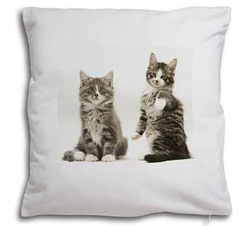 Tabby Cats Soft White Velvet Feel Scatter Cushion