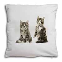Tabby Cats Soft White Velvet Feel Scatter Cushion