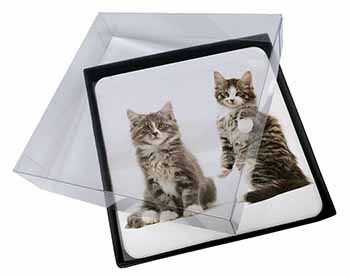4x Tabby Cats Picture Table Coasters Set in Gift Box