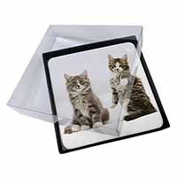 4x Tabby Cats Picture Table Coasters Set in Gift Box