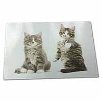 Large Glass Cutting Chopping Board Tabby Cats
