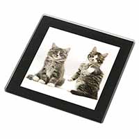 Tabby Cats Black Rim High Quality Glass Coaster