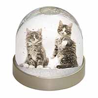 Tabby Cats Snow Globe Photo Waterball