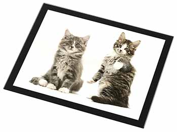 Tabby Cats Black Rim High Quality Glass Placemat