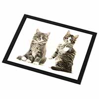 Tabby Cats Black Rim High Quality Glass Placemat