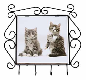 Tabby Cats Wrought Iron Key Holder Hooks