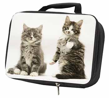 Tabby Cats Black Insulated School Lunch Box/Picnic Bag
