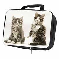 Tabby Cats Black Insulated School Lunch Box/Picnic Bag
