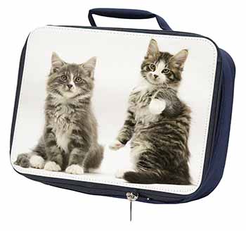 Tabby Cats Navy Insulated School Lunch Box/Picnic Bag
