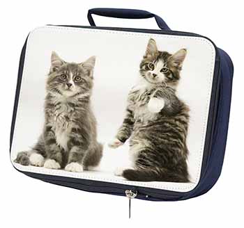 Tabby Cats Navy Insulated School Lunch Box/Picnic Bag