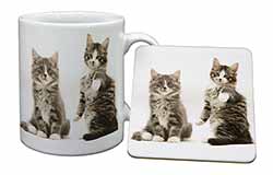 Tabby Cats Mug and Coaster Set