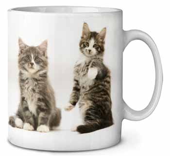 Tabby Cats Ceramic 10oz Coffee Mug/Tea Cup