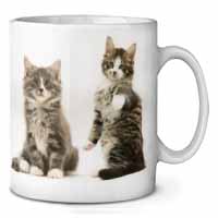 Tabby Cats Ceramic 10oz Coffee Mug/Tea Cup