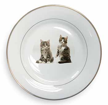 Tabby Cats Gold Rim Plate Printed Full Colour in Gift Box