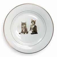 Tabby Cats Gold Rim Plate Printed Full Colour in Gift Box