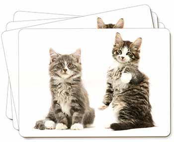 Tabby Cats Picture Placemats in Gift Box