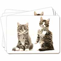 Tabby Cats Picture Placemats in Gift Box