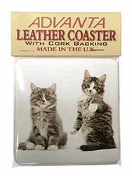 Tabby Cats Single Leather Photo Coaster