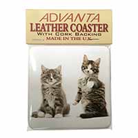 Tabby Cats Single Leather Photo Coaster