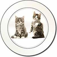 Tabby Cats Car or Van Permit Holder/Tax Disc Holder