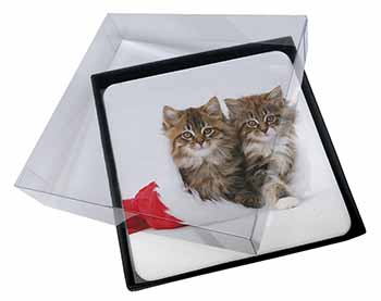 4x Christmas Kittens Picture Table Coasters Set in Gift Box