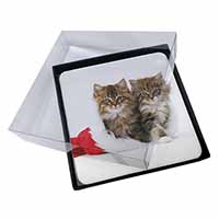 4x Christmas Kittens Picture Table Coasters Set in Gift Box