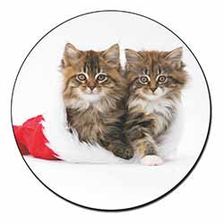 Christmas Kittens Fridge Magnet Printed Full Colour