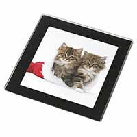 Christmas Kittens Black Rim High Quality Glass Coaster