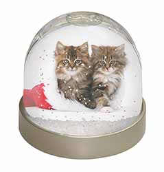 Christmas Kittens Snow Globe Photo Waterball