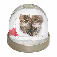 Christmas Kittens Snow Globe Photo Waterball