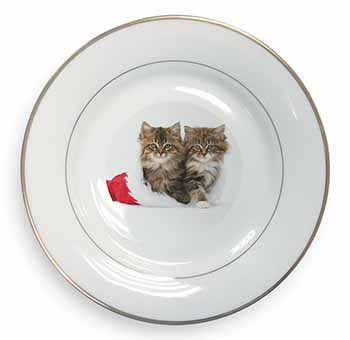 Christmas Kittens Gold Rim Plate Printed Full Colour in Gift Box