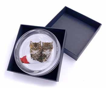 Christmas Kittens Glass Paperweight in Gift Box