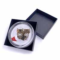 Christmas Kittens Glass Paperweight in Gift Box