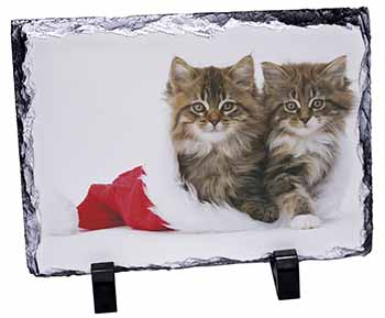 Christmas Kittens, Stunning Photo Slate