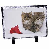 Christmas Kittens, Stunning Photo Slate