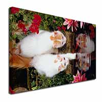 Turkish Van Cats by Fish Pond Canvas X-Large 30"x20" Wall Art Print